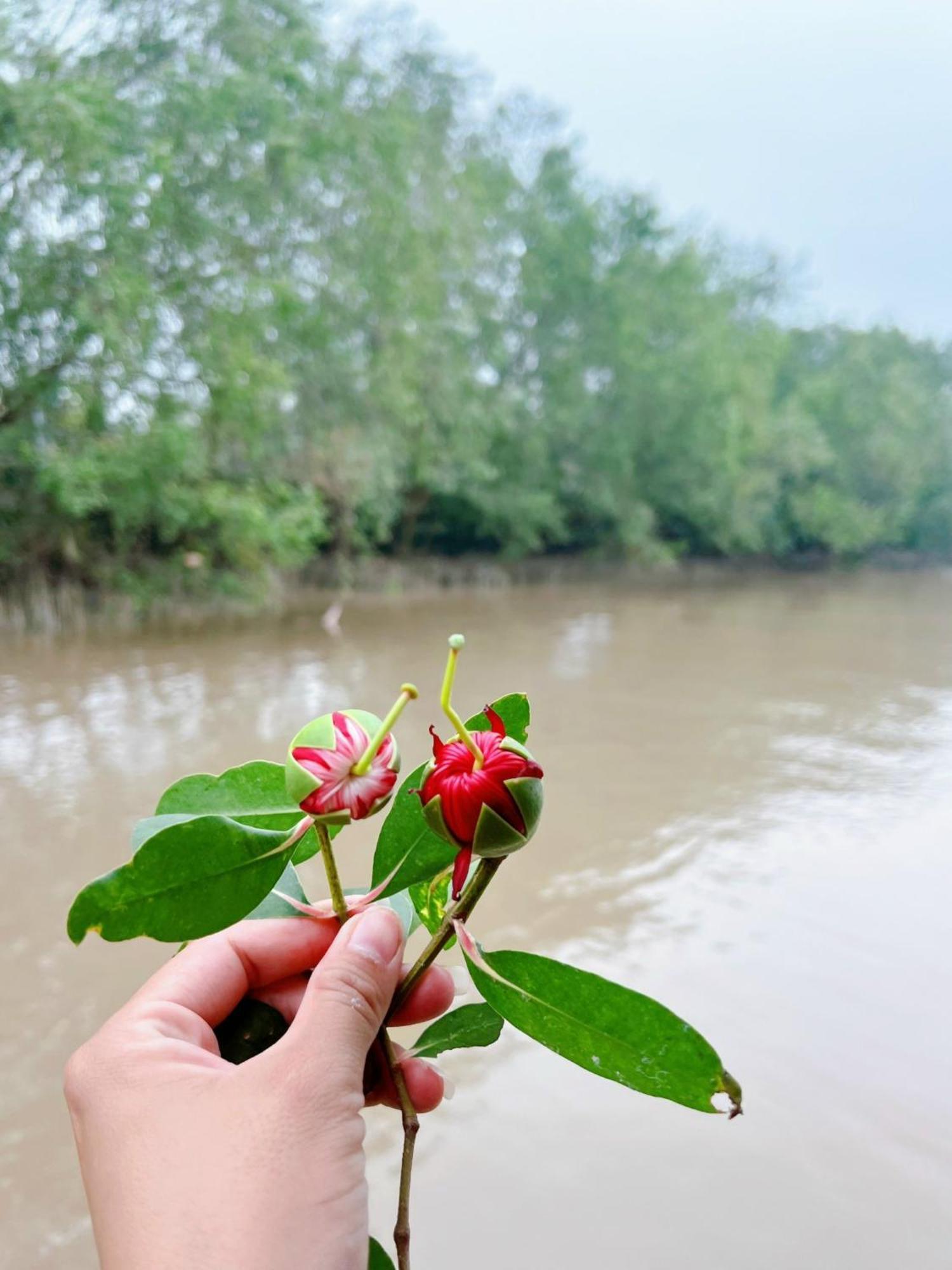 Hide Away Bungalows In Ben Tre City ภายนอก รูปภาพ