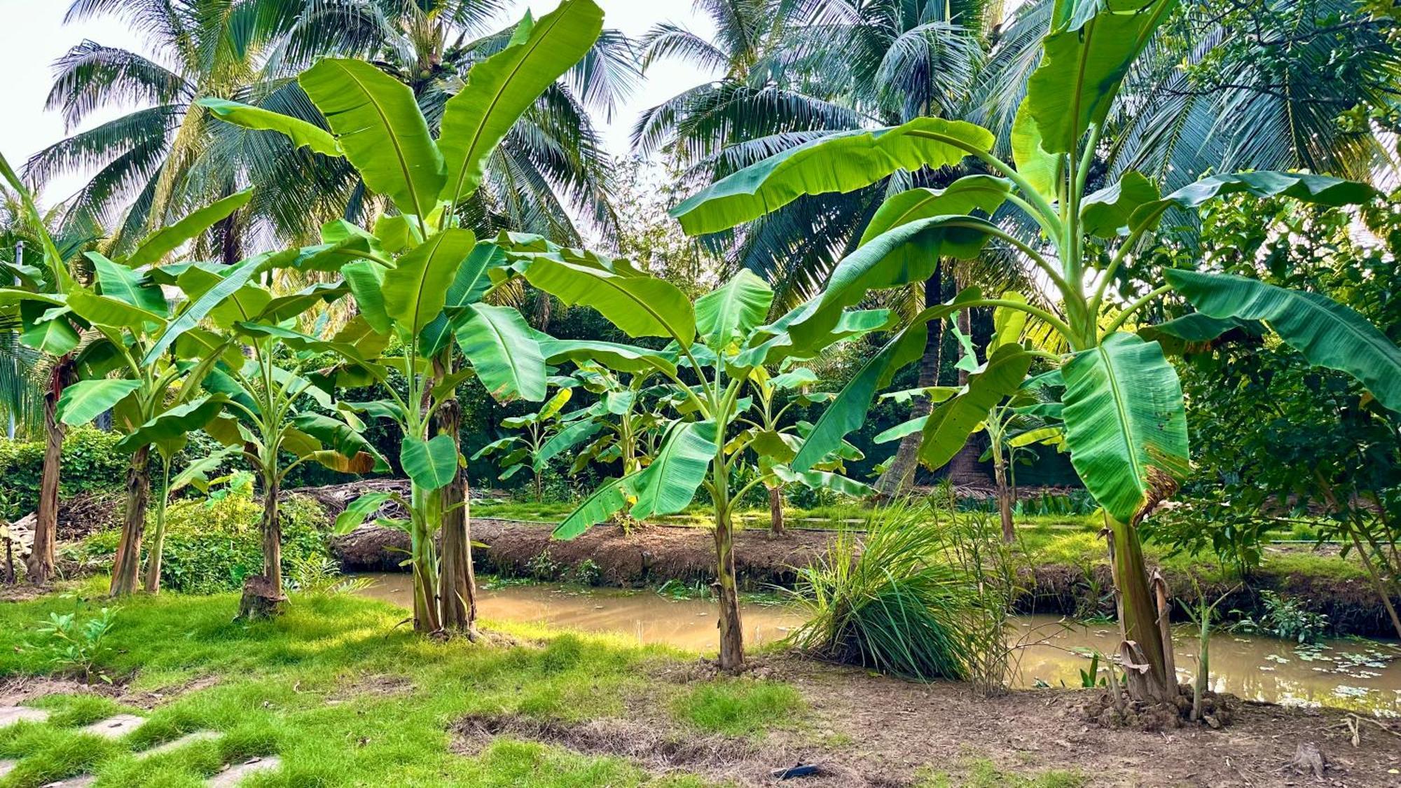 Hide Away Bungalows In Ben Tre City ภายนอก รูปภาพ