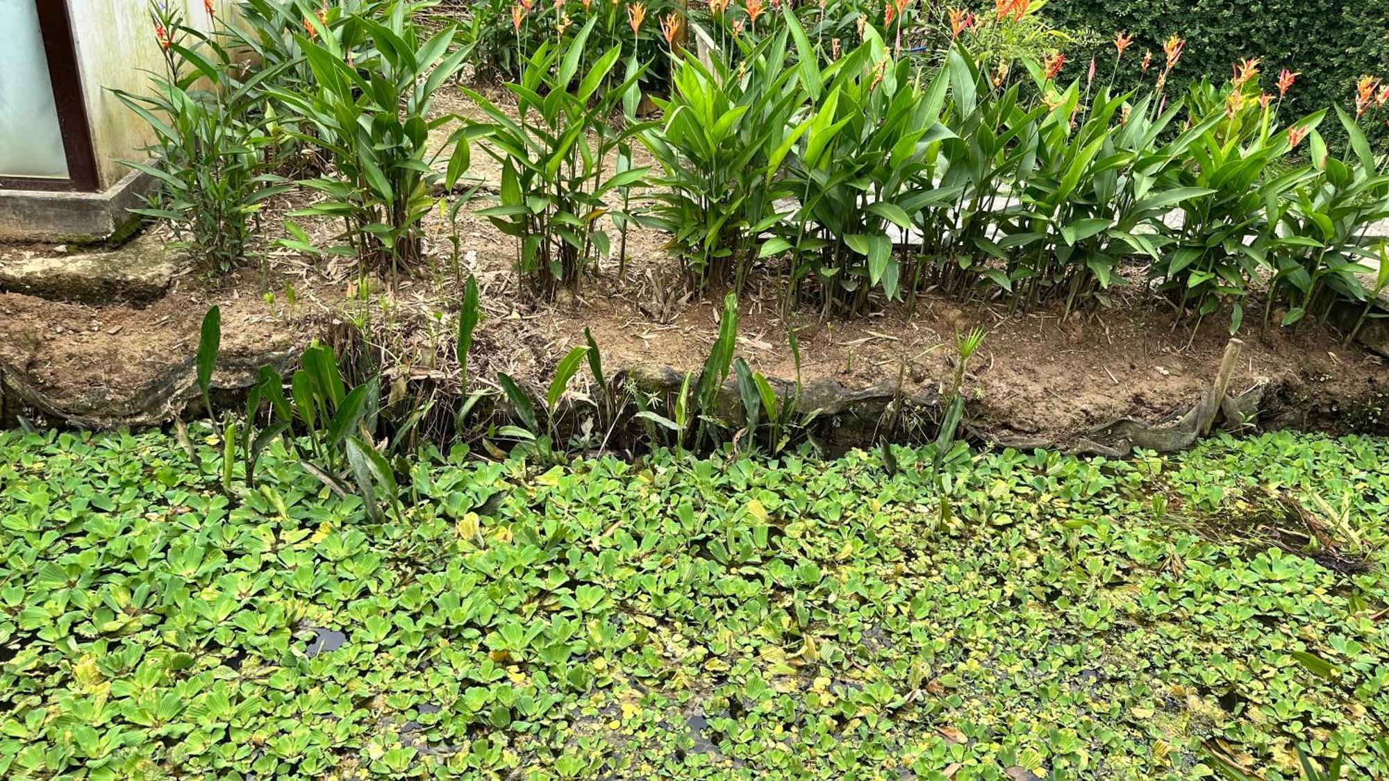 Hide Away Bungalows In Ben Tre City ภายนอก รูปภาพ